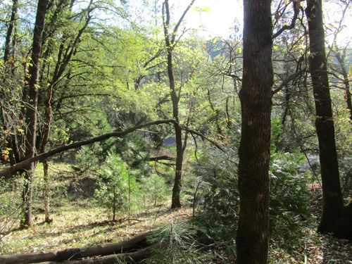 16172 Annie Dr, Grass Valley, CA, 95949-7149 | Card Image