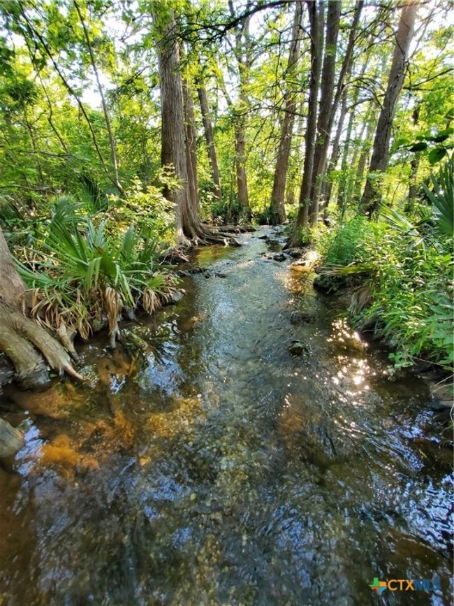 Park area. | Image 6