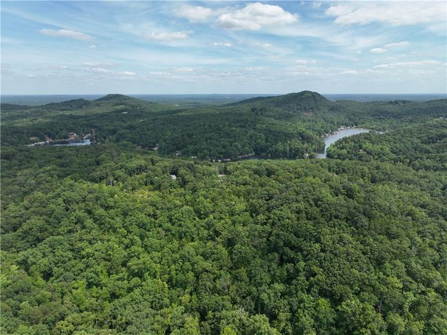 200 Maxorrick Loop, Home with 0 bedrooms, 0 bathrooms and null parking in Landrum SC | Image 8