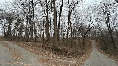 110 Scenic Dr, Russellville, AL, 35653 | Card Image