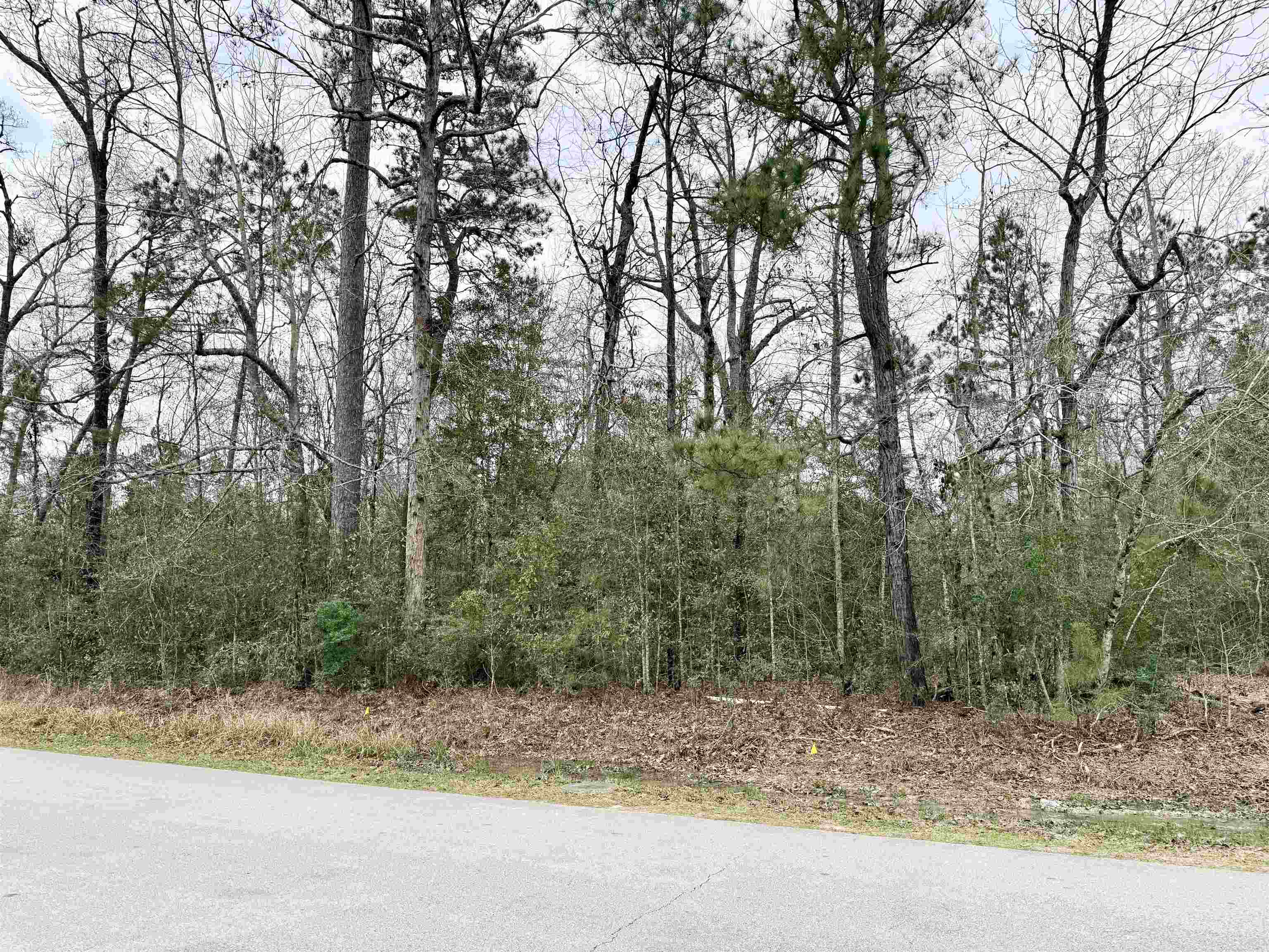 Land in Lumberton 3