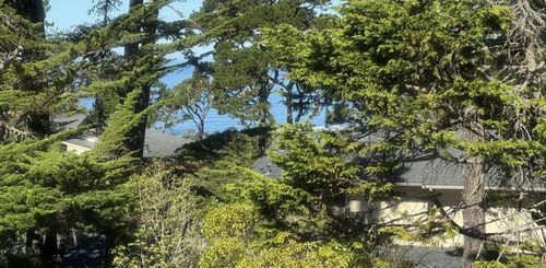 59 Skyline Crst, Monterey, CA, 93940-4111 | Card Image