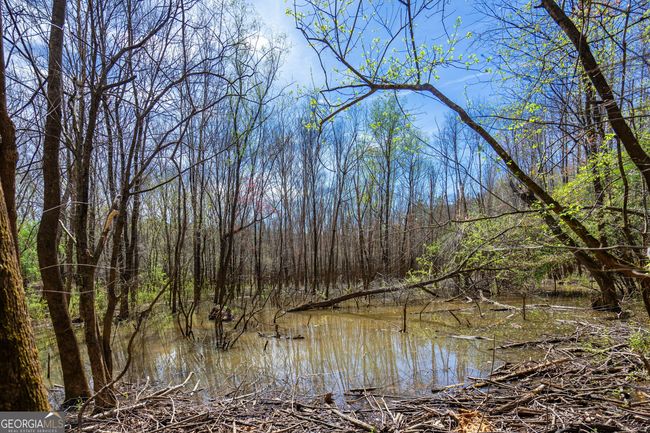 TRACT-1 - 0 Shake Rag Rd, Home with 0 bedrooms, 0 bathrooms and null parking in Pine Mountain GA | Image 7
