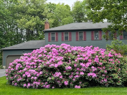 3 Sherbrooke Dr, Paxton, MA, 01612-1218 | Card Image