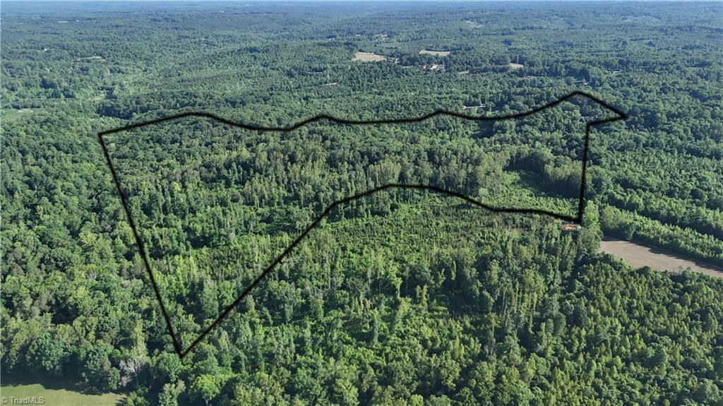Land in Reidsville 2