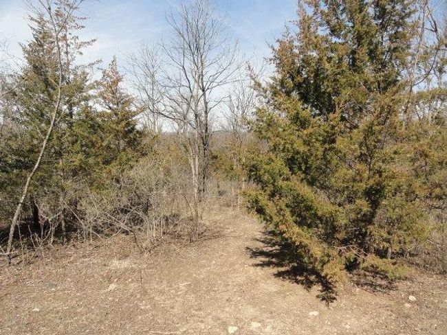 10.45 Acres Ringhand Rd, Home with 0 bedrooms, 0 bathrooms and null parking in SYLVESTER WI | Image 41