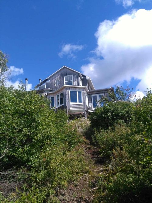 {{alt}} | Card Image