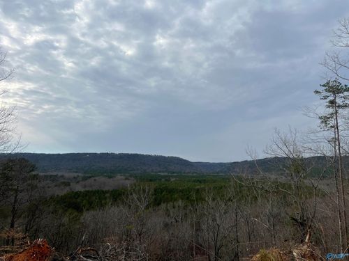 1450 County Road 137, Cedar Bluff, AL, 35959-3665 | Card Image