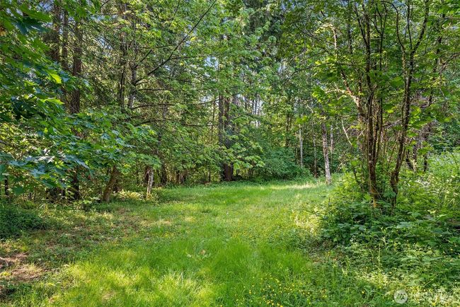 View of 5 acres. | Image 32