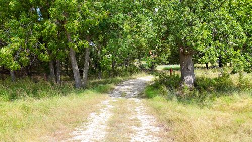 122 and 130 Private Road 2164, Iredell, TX, 76649 | Card Image