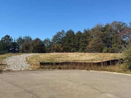 Lot 11 Lindsey Ln, Blue Ridge, GA, 30513-8056 | Card Image