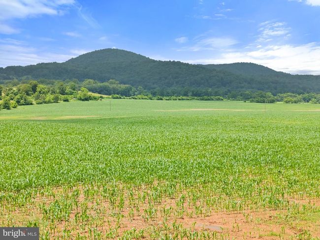 10674 Ada Rd, Home with 1 bedrooms, 1 bathrooms and null parking in MARSHALL VA | Image 9