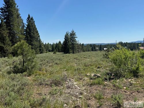 4100 Yale Creek Rd, Island Park, ID, 83429-5241 | Card Image