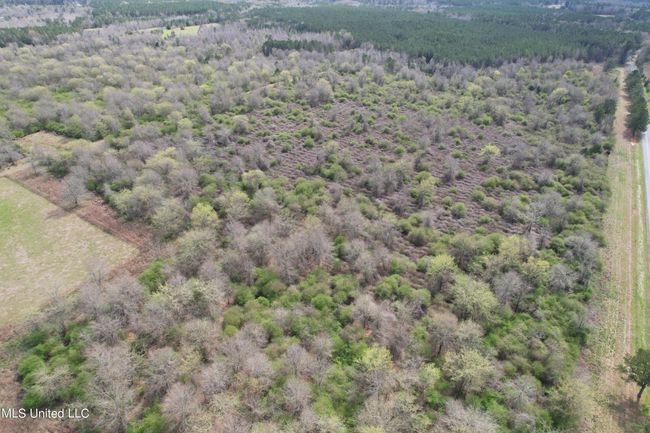 DJI_0982 | Image 41