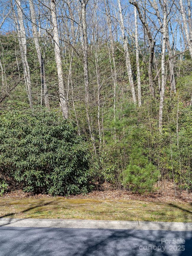25 Settings Blvd, Home with 0 bedrooms, 0 bathrooms and null parking in Black Mountain NC | Image 10