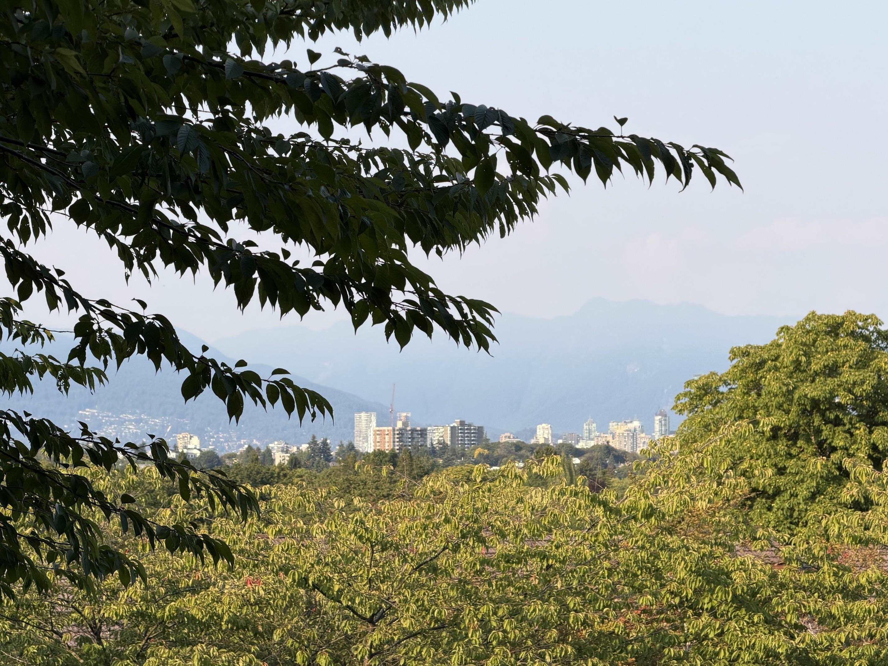 Residential in Vancouver 2