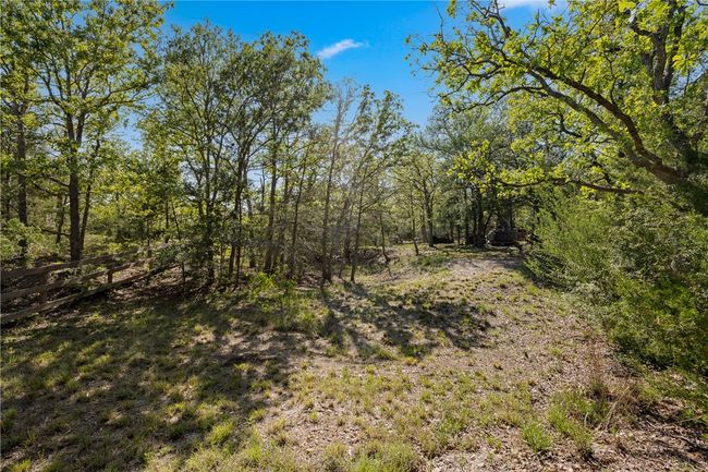 View of local wilderness | Image 21