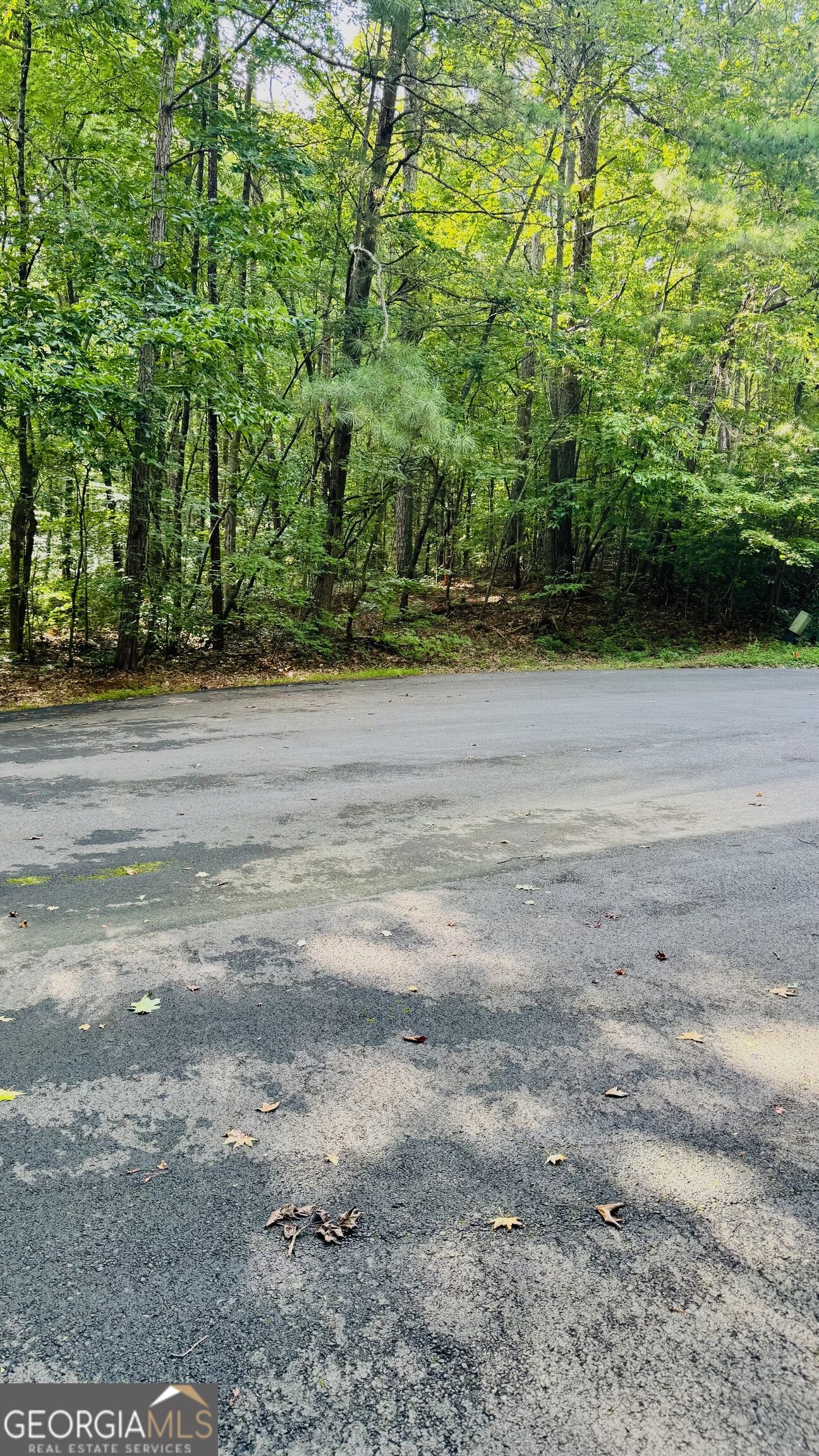 Land in Villa Rica 3