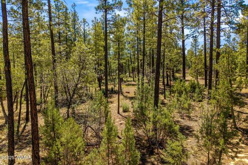 TBD S Hart Lake Ln, Lakeside, AZ, 85929 | Card Image