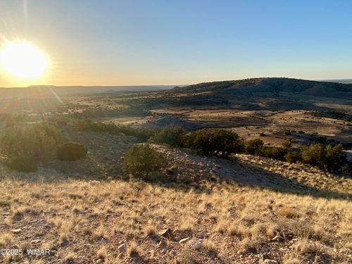 TBD Co Rd 5062 2.39 Acres, Concho, AZ, 85924 | Card Image