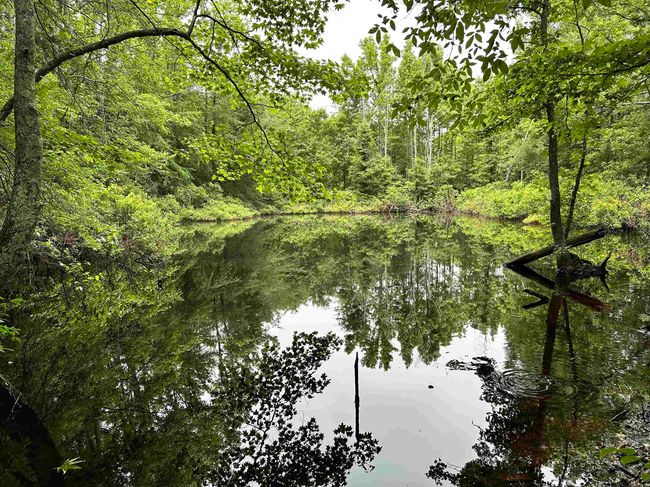 000 Oak Dale Rd, Home with 0 bedrooms, 0 bathrooms and null parking in Lonoke AR | Image 6