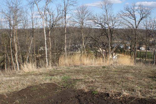 xxxxC Kings Park Road Nw, Oronoco Twp, MN, 55960 | Card Image