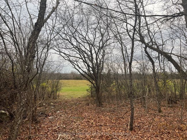 2183 Unity Rd, Home with 0 bedrooms, 0 bathrooms and null parking in Elginburg ON | Image 13
