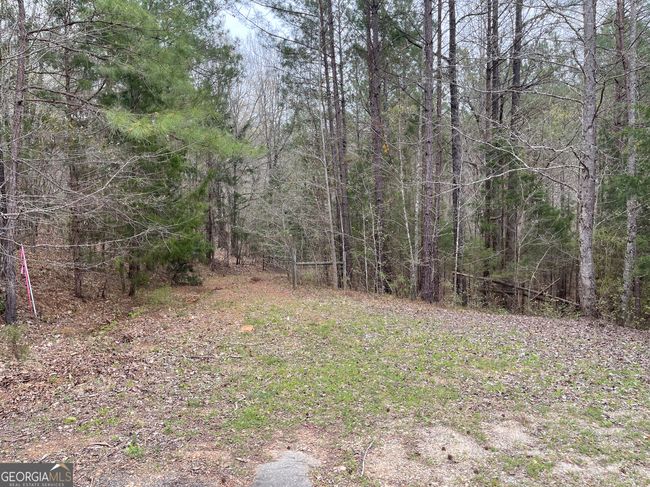 0 Green Oak Cir, Home with 0 bedrooms, 0 bathrooms and null parking in Thomaston GA | Image 8
