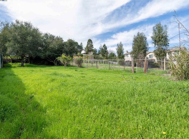 Back Yard | Image 22