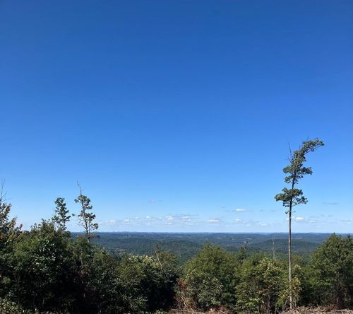 2789 Salt Lick Rd, Montrose, WV, 26283-7187 | Card Image