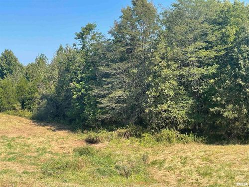 003 Hawk Hill Lane, Buncombe, IL, 62912 | Card Image