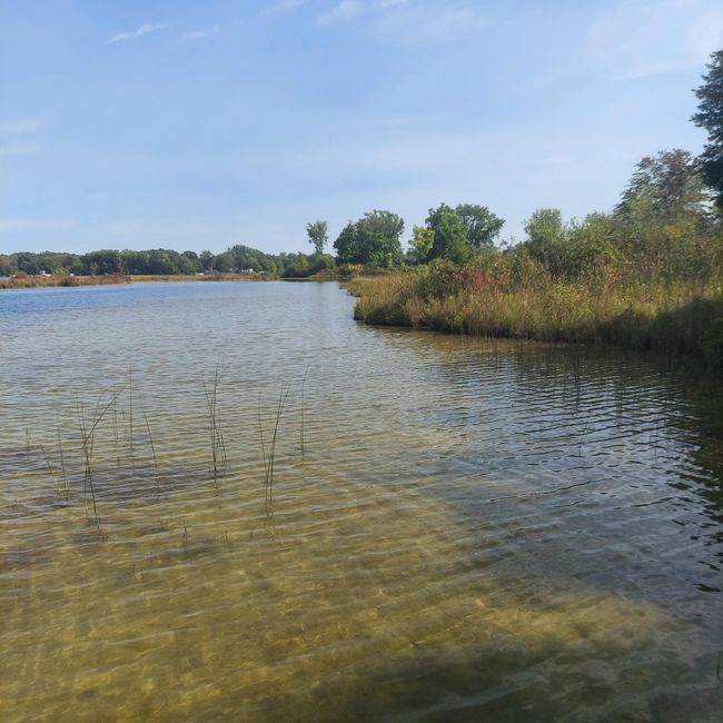 405 Buck Rd, Home with 2 bedrooms, 2 bathrooms and null parking in Coldwater MI | Image 4