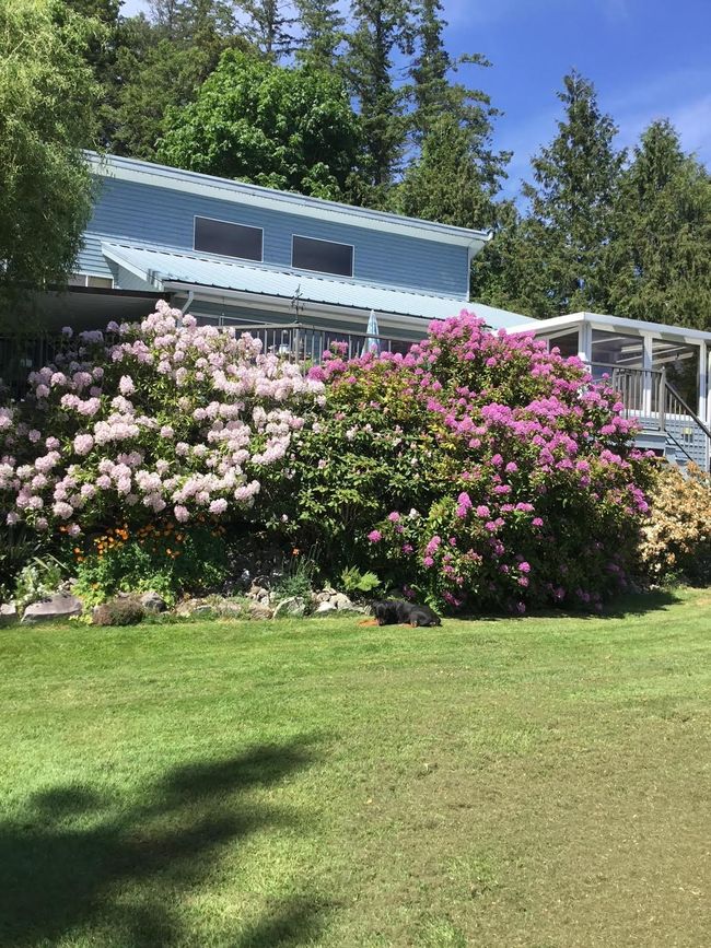 4553 Esquire Drive, House other with 3 bedrooms, 2 bathrooms and null parking in Madeira Park BC | Image 8