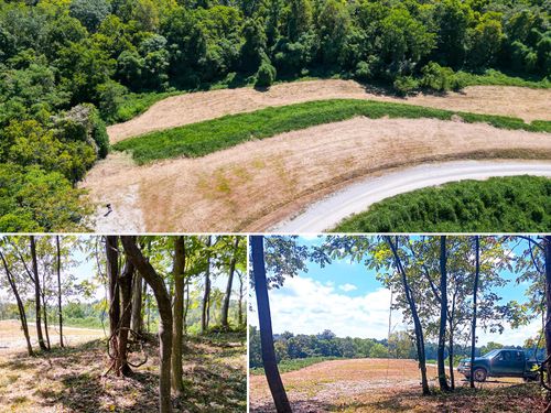 crown-wildlife-tract-6a-2776 Wells Run Rd, Crown City, OH, 45623 | Card Image