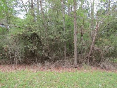 Lot 25 Gnu Street, Home with 0 bedrooms, 0 bathrooms and null parking in Onalaska TX | Image 2