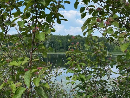 Lot Lake Cr25, Mizpah, MN, 56660 | Card Image