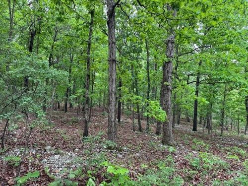 1329 Echowood Cir, Viola, AR, 72583-9472 | Card Image