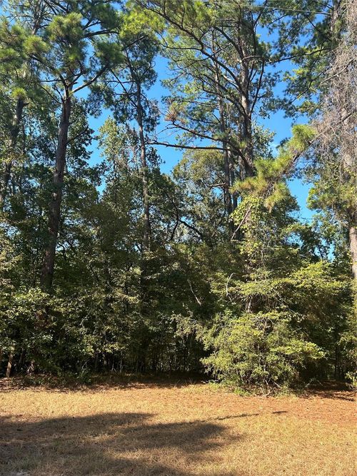 545556 S Grand Pine Cir, Livingston, TX, 77351 | Card Image