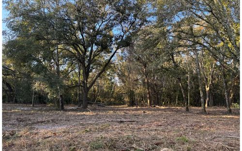 TBD 129th Rd, Mc Alpin, FL, 32062 | Card Image
