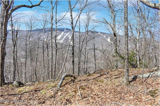 48 Durkin Rd, Home with 0 bedrooms, 0 bathrooms and null parking in North Creek NY | Image 15