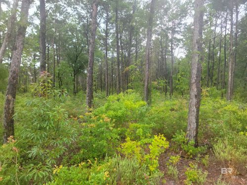 0 Primrose Lane, Gulf Shores, AL, 36542 | Card Image