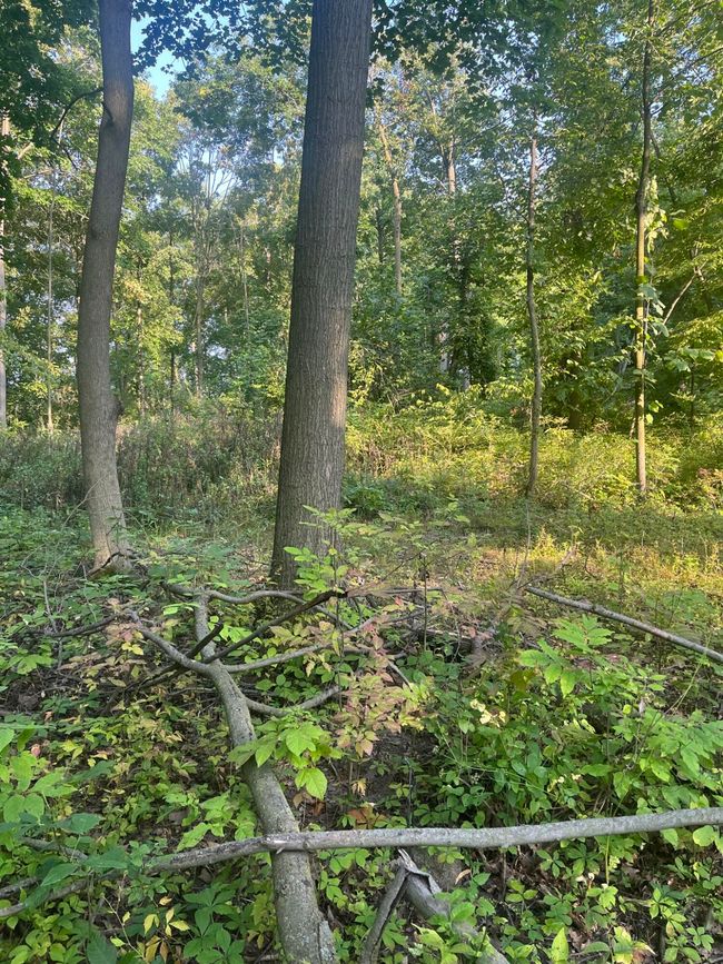 11000 Tecumseh Macon Rd, Home with 0 bedrooms, 0 bathrooms and null parking in Clinton MI | Image 6