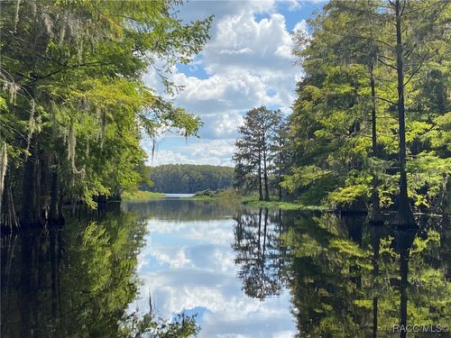 10597 E Turtle Lane, FLORAL CITY, FL, 34436 | Card Image