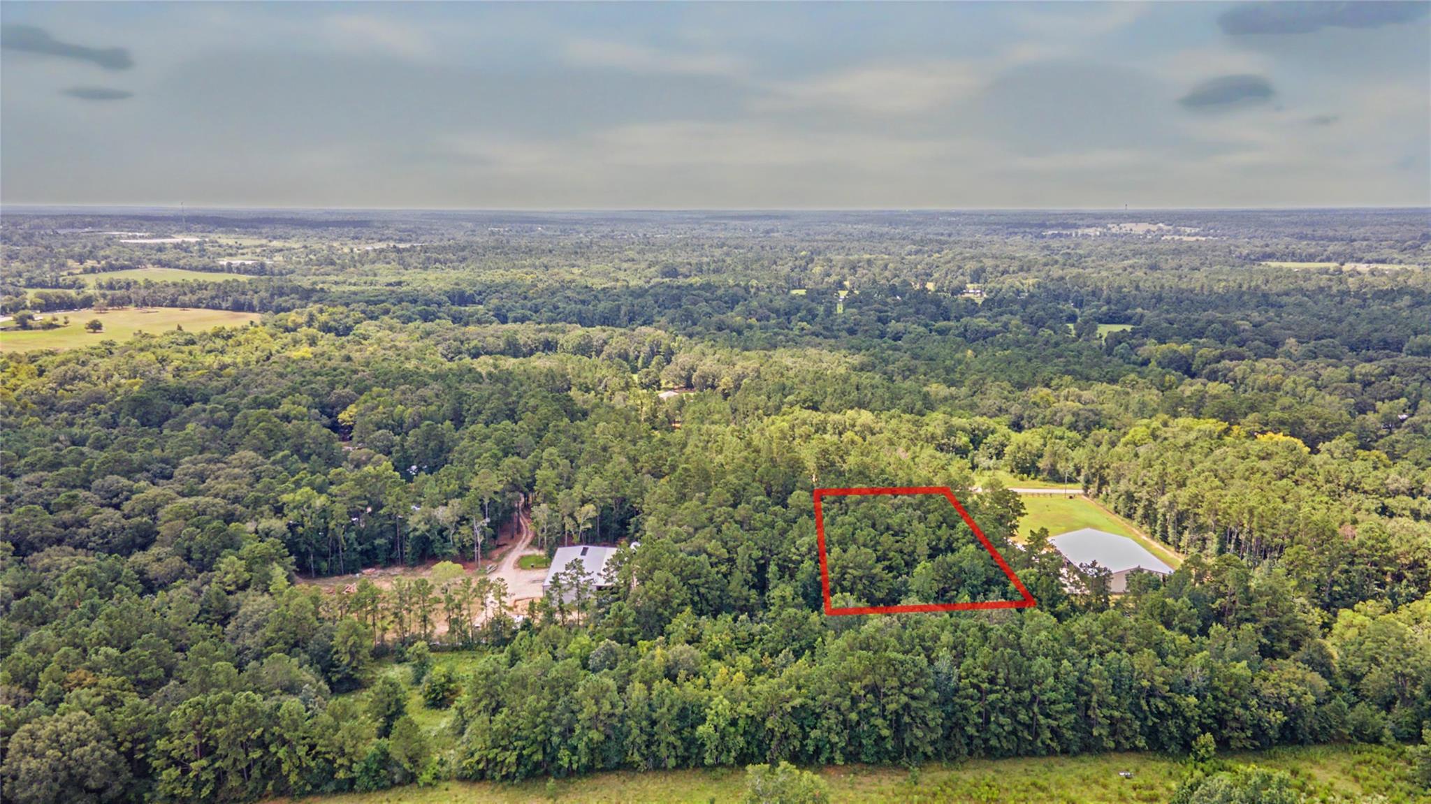 Land in Willis 2