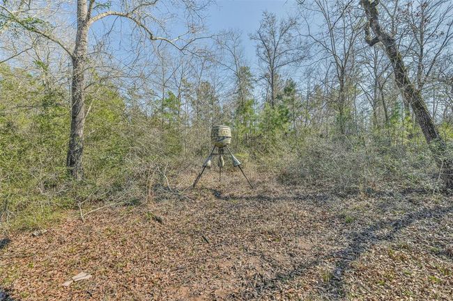35 Old Sign Rd, Home with 1 bedrooms, 1 bathrooms and null parking in Midway TX | Image 40