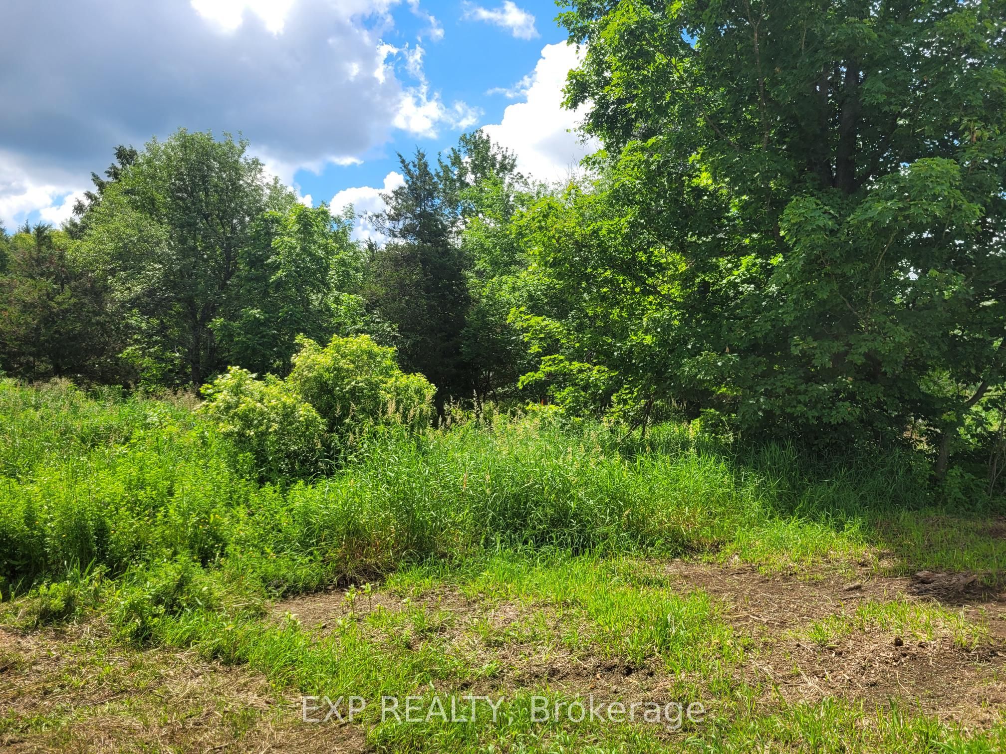 Residential in Front of Yonge 5