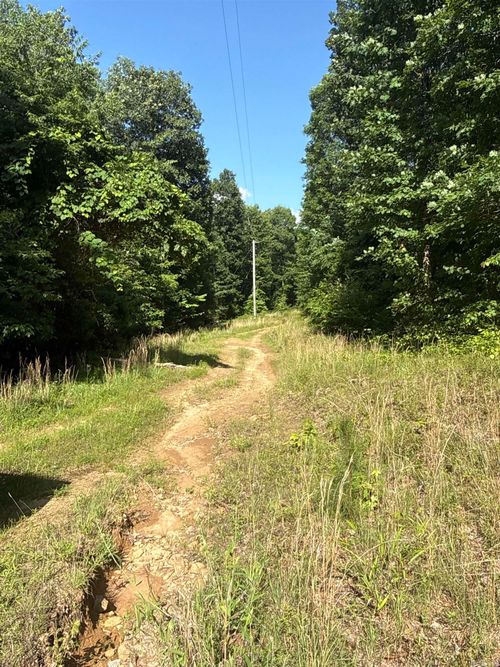 00 Peyton Mountain Road, Dennard, AR, 72629 | Card Image