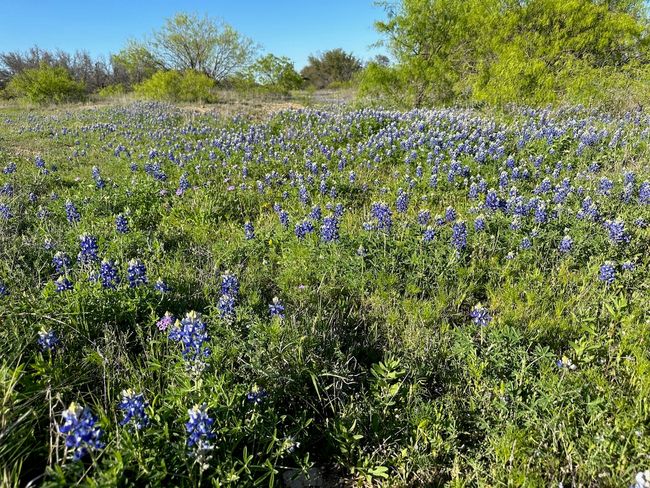 740 Downhaul Way, Home with 0 bedrooms, 0 bathrooms and null parking in Brownwood TX | Image 14