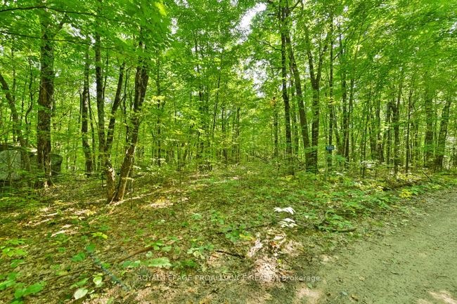 1083 Lindey Lane, Home with 0 bedrooms, 0 bathrooms and null parking in North Frontenac ON | Image 4