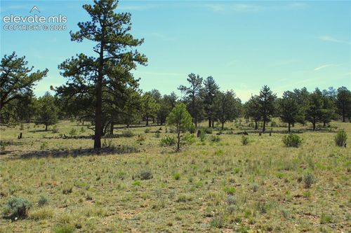 31572 Highway 9, Fairplay, CO, 80440 | Card Image